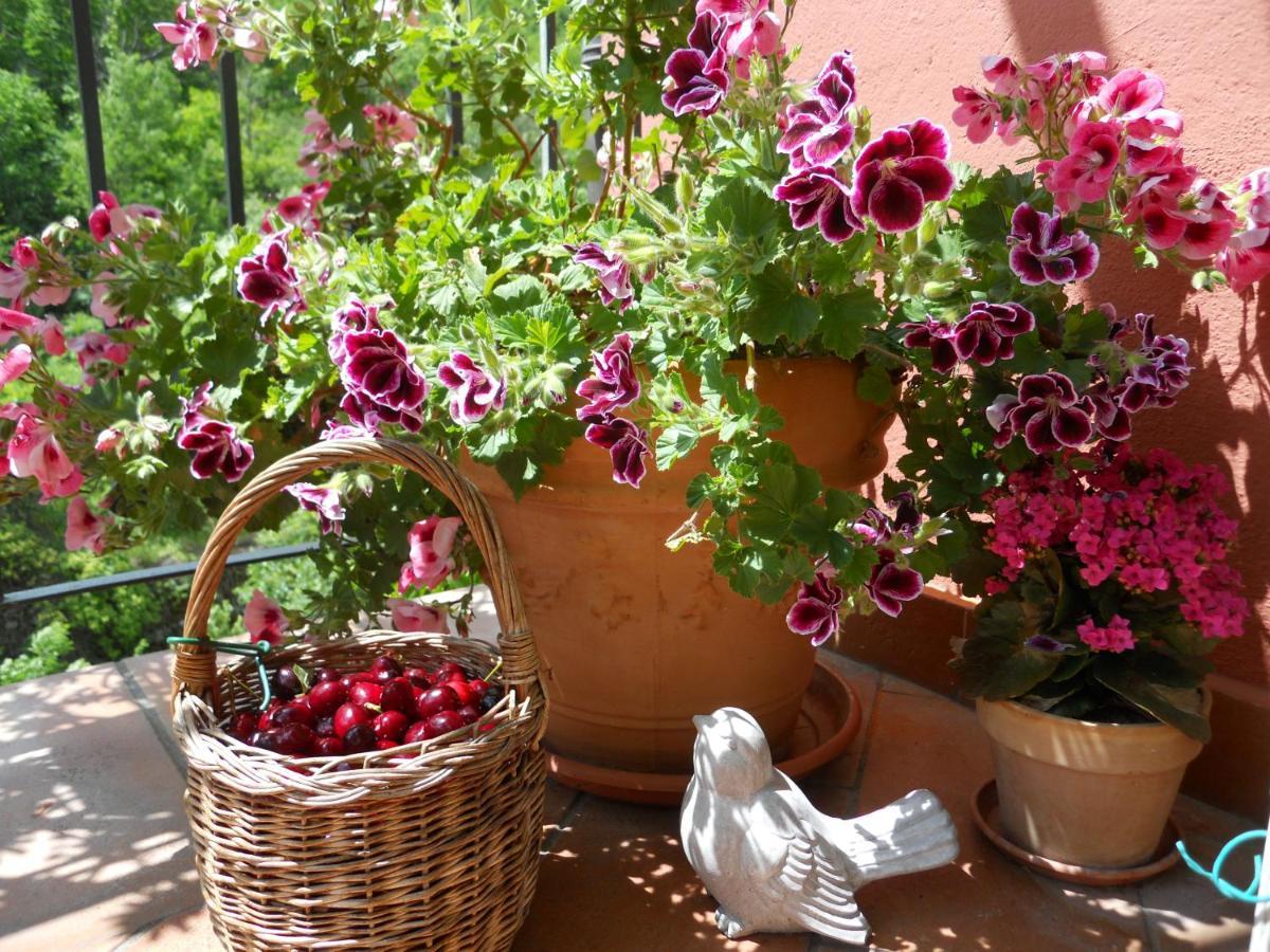 B&B Rossociliegia Colletta Extérieur photo